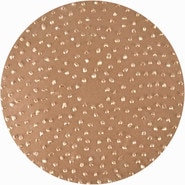 TapeTech Sanding Disc EDISCTC16