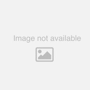 20” Radius Trowel – Curved